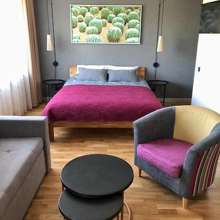 Kaktuss Apartamenti 斯米尔泰内 外观 照片
