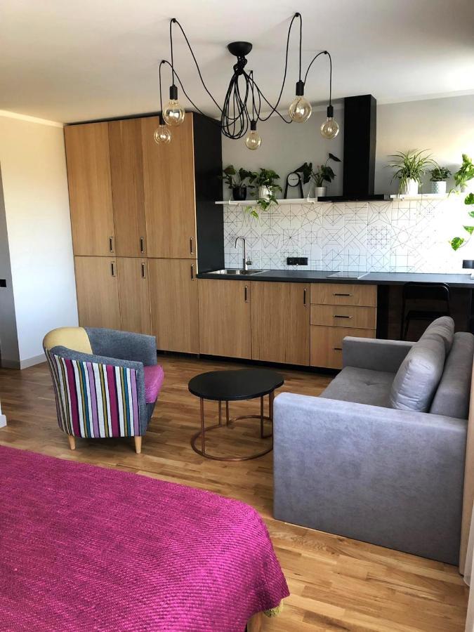Kaktuss Apartamenti 斯米尔泰内 外观 照片