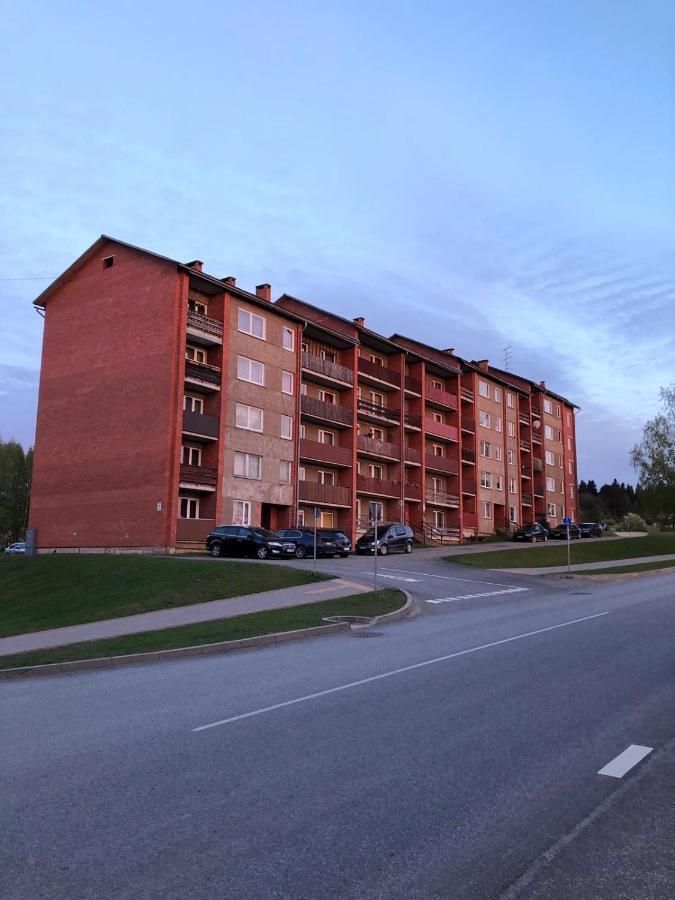 Kaktuss Apartamenti 斯米尔泰内 外观 照片