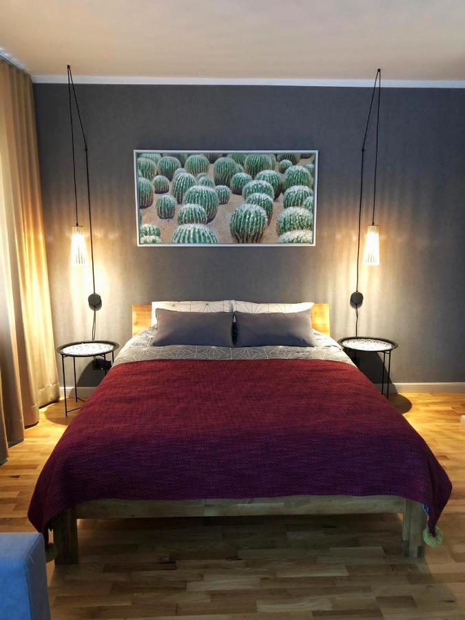 Kaktuss Apartamenti 斯米尔泰内 外观 照片